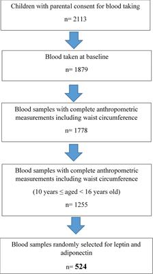 TG: HDL-C Ratio as Insulin Resistance Marker for Metabolic Syndrome in Children With Obesity